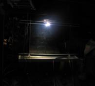 Piège lumineux automatique 