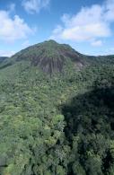 Inselberg