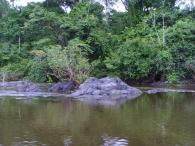 Fleuve