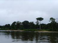 Fleuve