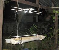 Piège lumineux automatique