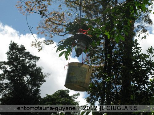 Piège solaire automatique